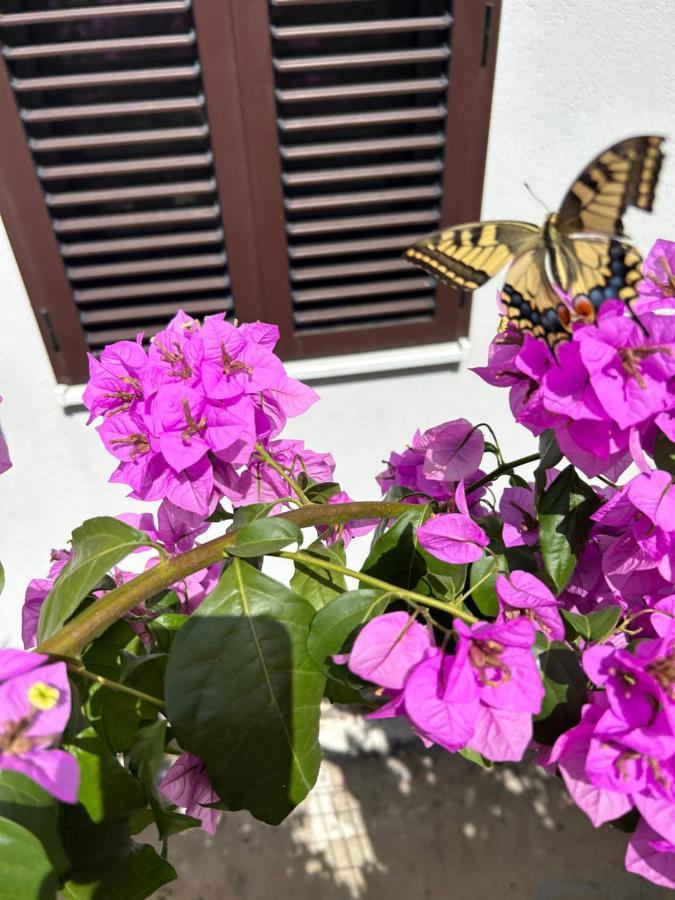 Garden Apartment Dina With Free Parking Сплит Екстериор снимка